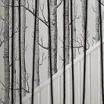 Aloza Habitación en casa particular *