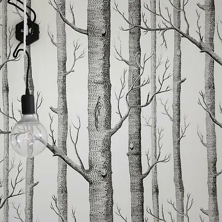 Aloza ホームステイ ウストカ