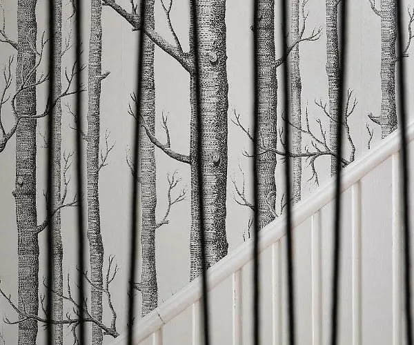 Aloza Alloggio in famiglia *